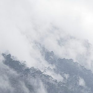 Montagne dans la brume, Ella, Sri Lanka, avril 2018