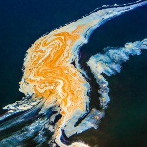 Blue and yellow Magadi, Kenya, 2014