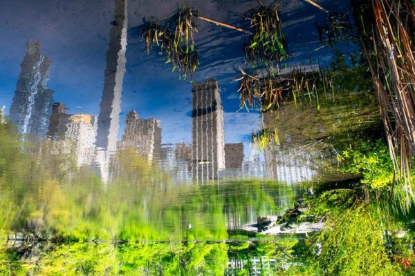 Grass upside down