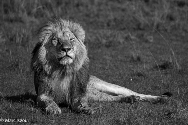 Kenya 2