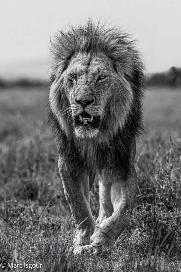 KENYA-3