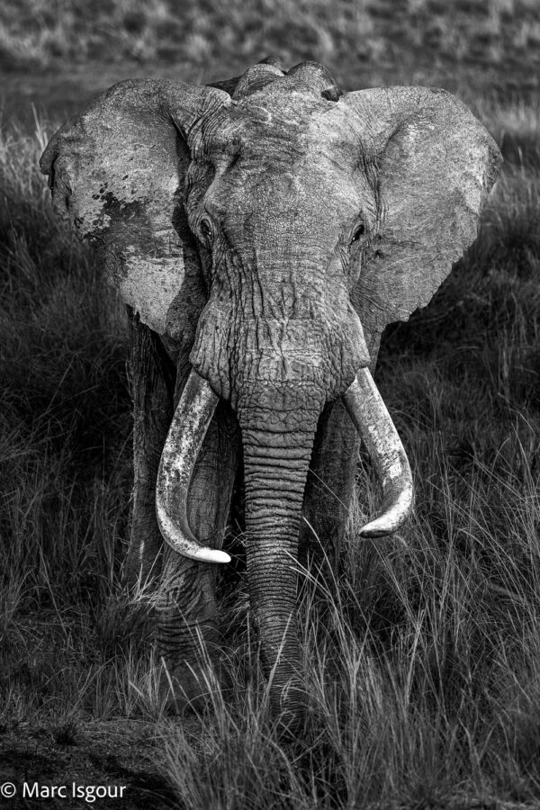 KENYA 5