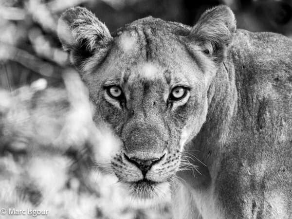 KENYA 48.