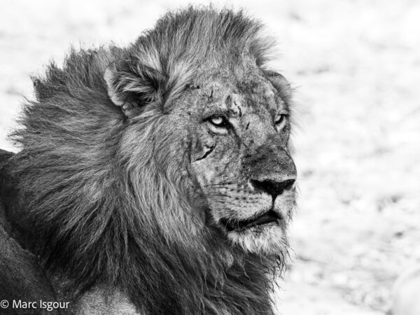 KENYA 52