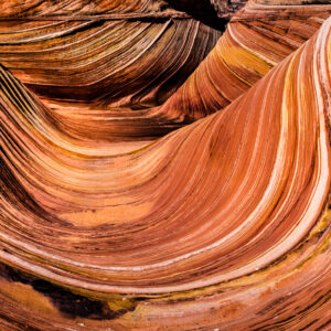 The Wave (triptyque)