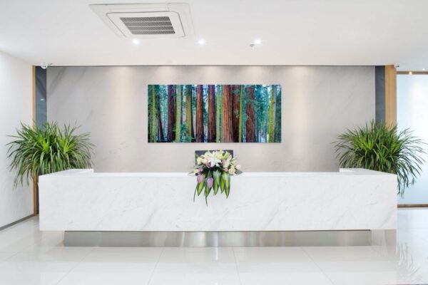 Millenium Forest – Image 2