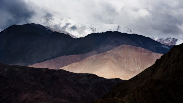 Hemis