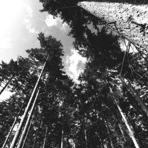 Vers l’infini et au-delà