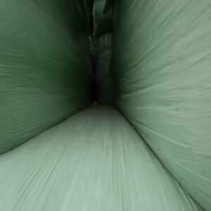 La vie privée des ballots 3