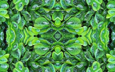 Expo ALTER VISTA, l’autre vue ! Réalités parallèles, alternatives, dualités et contrastes