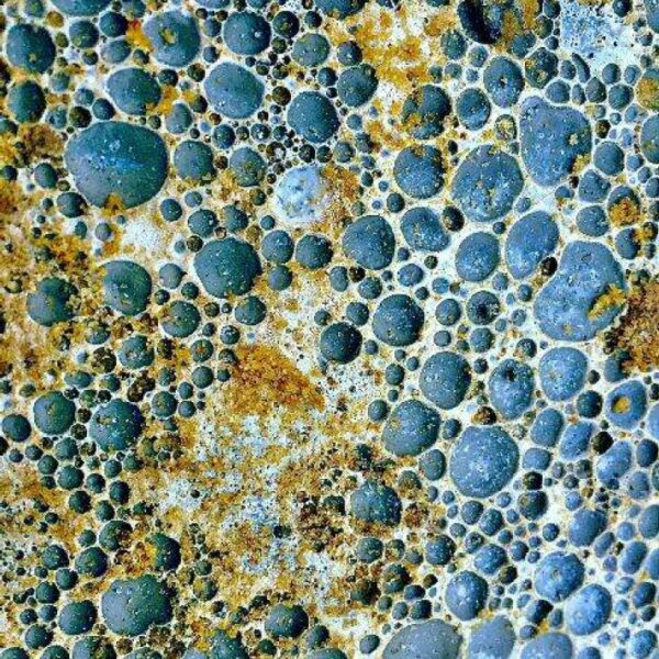 Earth Bulbes