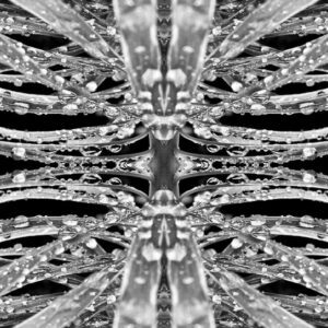 Mercury Drops anamorphose I : Edition de 3 : 1-2-3