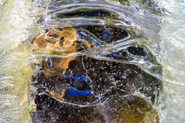 Water memory 017