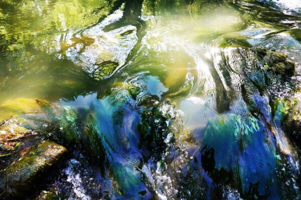 Water memory 8219