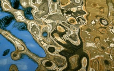 Expo Alter Vista Une œuvre, un artiste !