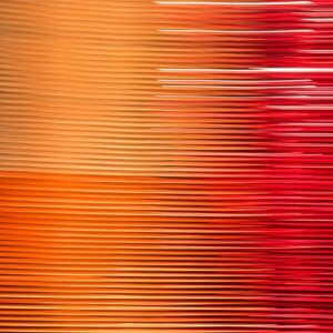 Oriental Vibration#2