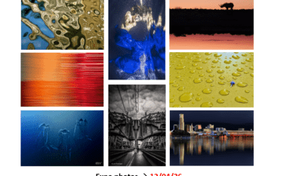 Prolongation Expo ALTER VISTA !