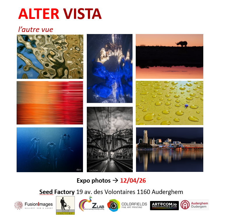 Location leasing œuvres art photos