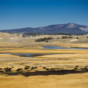 Wyoming plains
